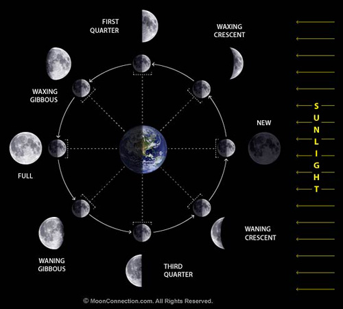 Moon Phase Diagram